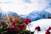 Kleines Walsertal