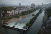 Limmatblick