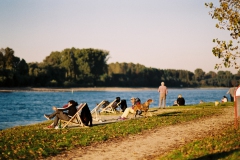 Abends am Rhein