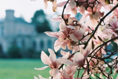 Analog-20190808-082025-10419808-01