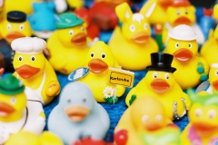 Vorbereitung auf's Entenrennen