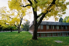 Das Bundesverfassungsgericht