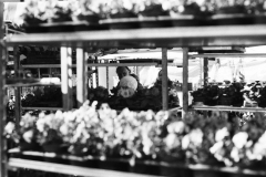 Durlacher Wochenmarkt