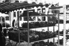 Durlacher Wochenmarkt