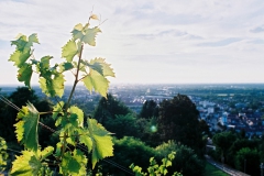 Sonnenuntergang auf dem Turmberg