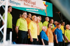 Landesmusikfestival Ettlingen 2016