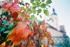 Herbststimmung in Ettlingen