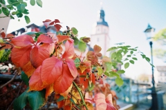 Herbststimmung in Ettlingen