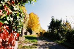 Herbst am Robberg