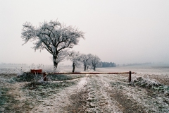 Schmitt400655748-22