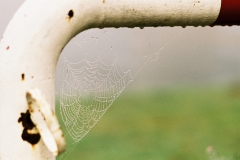 Rheinbrücke im Nebel