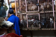 Einkaufen für den Kochkurs im Markt der Mellah