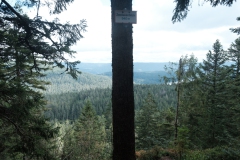 Badener Höhe