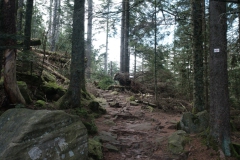 Badener Höhe
