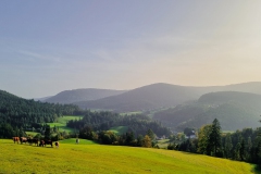 Baiersbronn