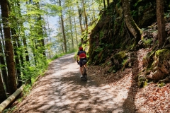 Feldberg
