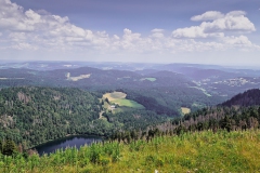 Feldberg