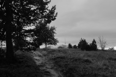 Hornisgrinde