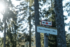 Hornisgrinde