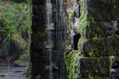 Moosalbtal