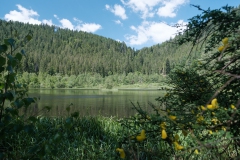 Sankenbachsee