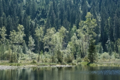 Sankenbachsee
