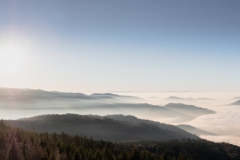 TEUFELSMUeHLE-20161231-Schwarzwald-20161231-DSCF4208-Pano