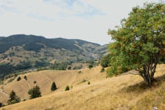 MTB Todtnau