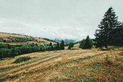Wandern in Todtmoos