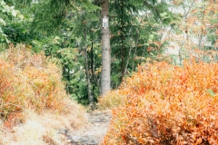 Wandern in Todtmoos