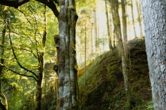 Wandern in Todtmoos