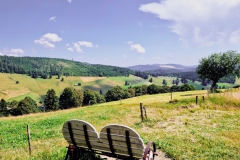 Todtnauberg