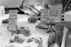 MeinFilmLab-Schmitt-Dieter-754654-20230222-000018-4