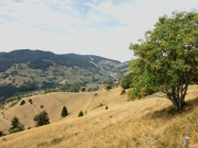 MTB Todtnau