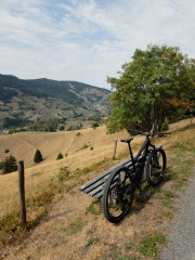 MTB Todtnau