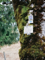 Wandern in Todtmoos