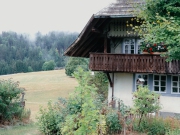 Wandern in Todtmoos
