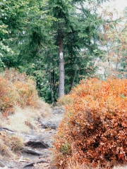 Wandern in Todtmoos