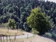 Wandern in Todtmoos