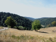 Wandern in Todtmoos