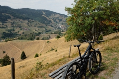 MTB Todtnau