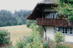 Wandern in Todtmoos