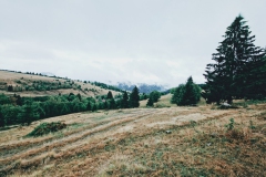 Wandern in Todtmoos
