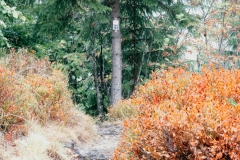 Wandern in Todtmoos