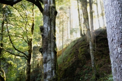 Wandern in Todtmoos