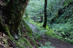 Wandern in Todtmoos