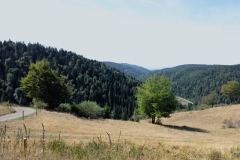 Wandern in Todtmoos